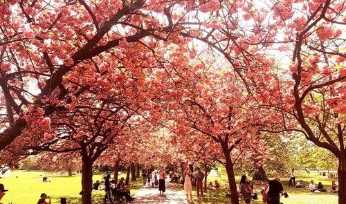 People in park