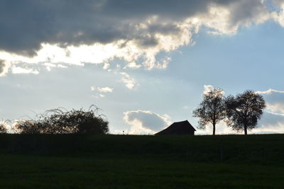 Silhouette trees on field against sky