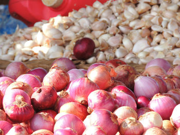 Close-up of fresh vegetables for sale in market