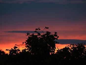 Silhouette trees against sky at dusk