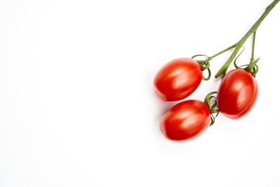 Close-up of tomatoes over white background