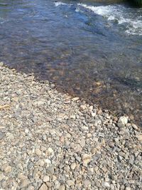 Surface level of pebble beach