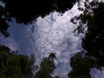 Low angle view of trees against cloudy sky