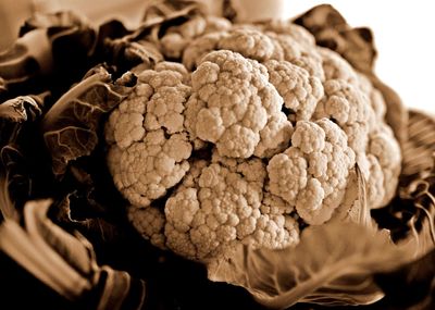 Close-up of bread