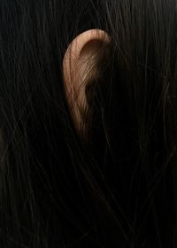 Close-up of woman with black hair