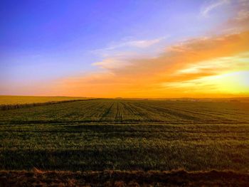 Scenic view of field against sky during sunset