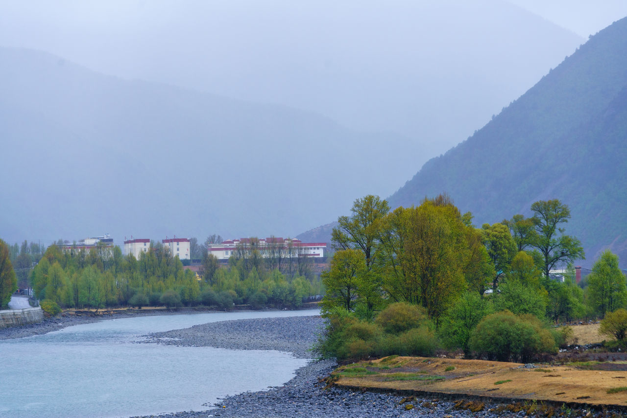 SCENIC VIEW OF TREE BY MOUNTAINS AGAINST SKY