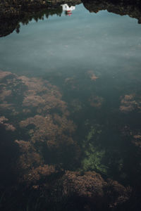 High angle view of lake