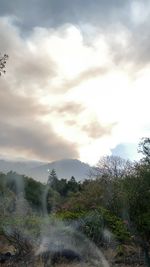 cloud