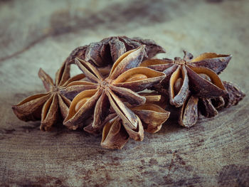 Close-up of dried shells on table