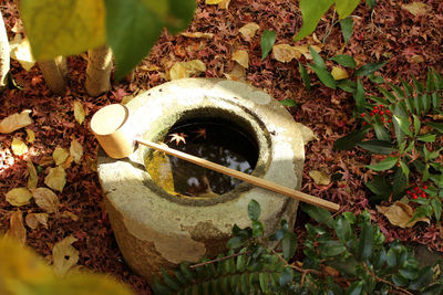 High angle view of fountain in japanese garden