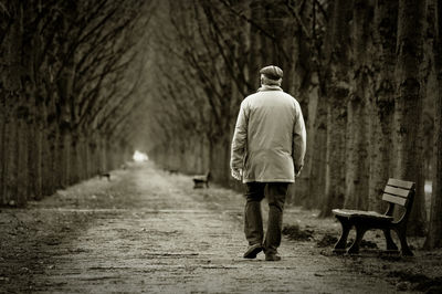 Full length rear view of man walking amidst bare trees