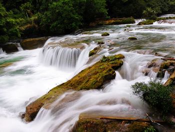 Scenic view of waterfall in forest