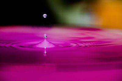 Close-up of water splashing