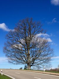 Bare trees on landscape against cloudy sky