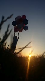 Close-up of silhouette plant against sky at sunset