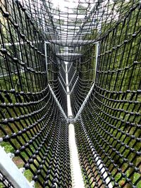 Empty rope bridge at forest