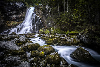 Scenic view of waterfall in forest