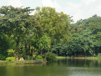 Scenic view of lake in forest against sky