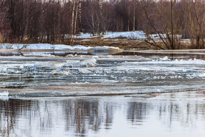 Frozen lake against trees during winter