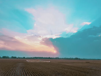 Scenic view of agricultural field against sky during sunset