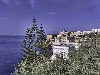 Plants and building by sea against sky