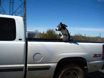 Road seen through car windshield