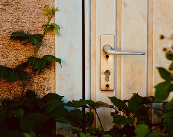 Close-up of closed door