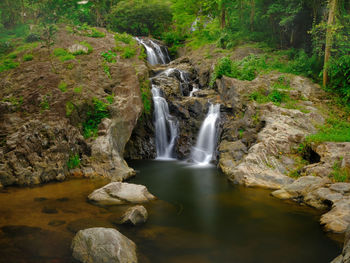 Scenic view of waterfall in forest