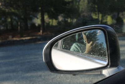 Close-up of side-view mirror