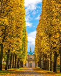 Trees and yellow amidst plants against sky during autumn