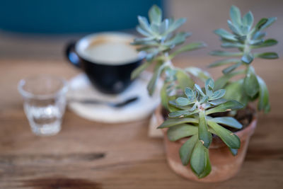 Close-up of drink on table