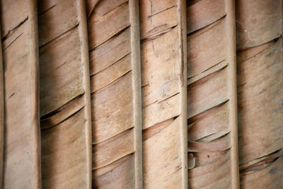 Full frame shot of bamboo on wood