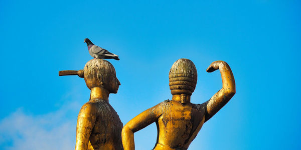 Low angle view of bird perching on pole against clear blue sky