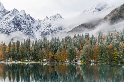 Scenic view of lake by trees against sky