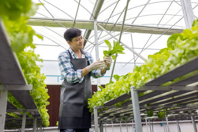 Woman working in greenhouse