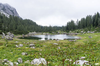 Scenic view of lake against sky