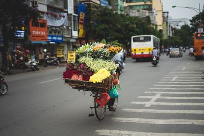 Flowers in crate on bicycle at city