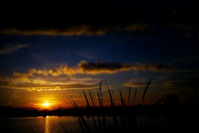 Scenic view of sunset over sea