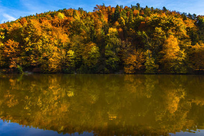 Autumn morning