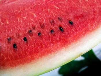 Close-up of watermelon against red background