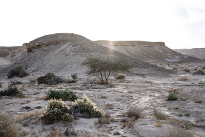 Scenic view of desert against clear sky