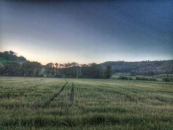 Scenic view of field against clear sky