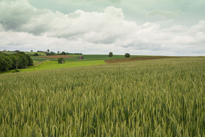 Scenic view of field against cloudy sky