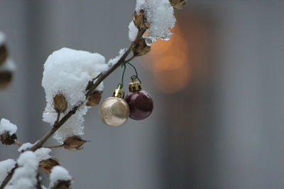 Close-up of snow and small christmas decoration on a bush in the street