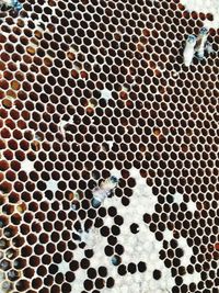 Full frame shot of metal grate