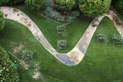 High angle view of lawn in park