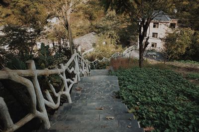 Footpath amidst trees and buildings