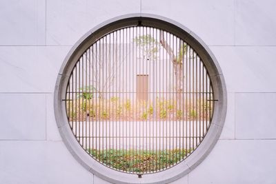 Close-up of window