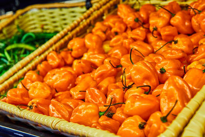 High angle view of seafood for sale at market